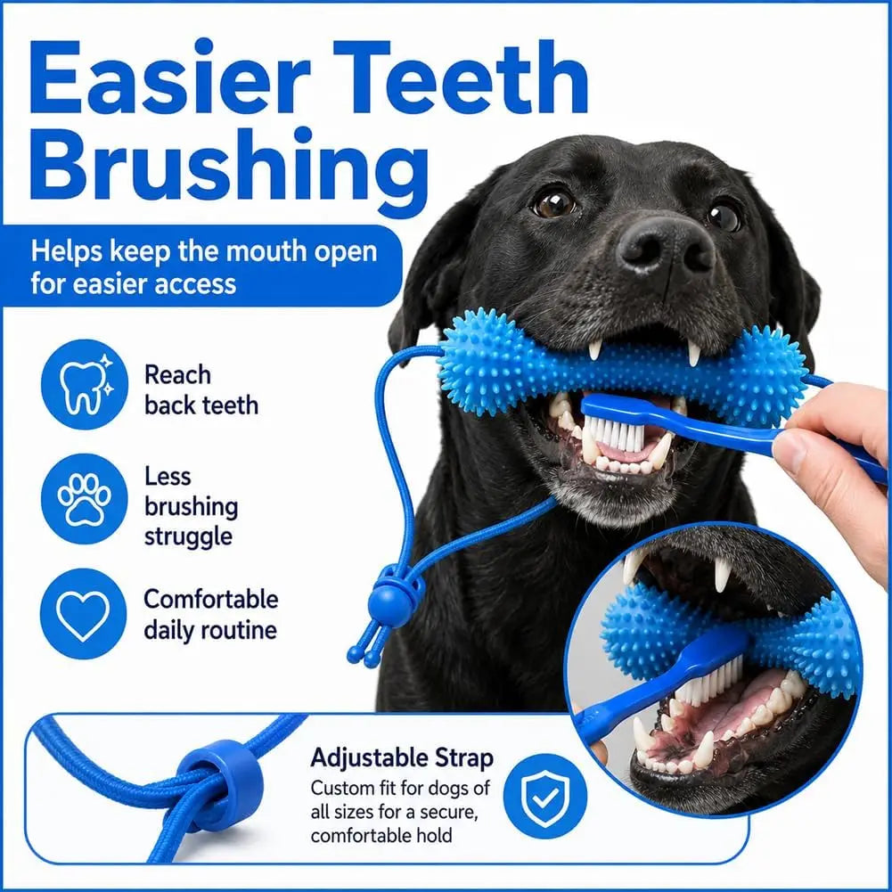 Dual-Action Canine Dental Prop for Dogs