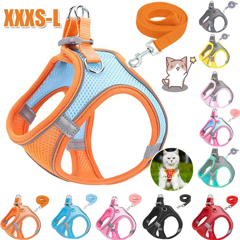 Orange and blue reflective no-pull dog harness with matching leash and various accessories