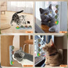 Edible Catnip Wall Balls for Dental Care and Play