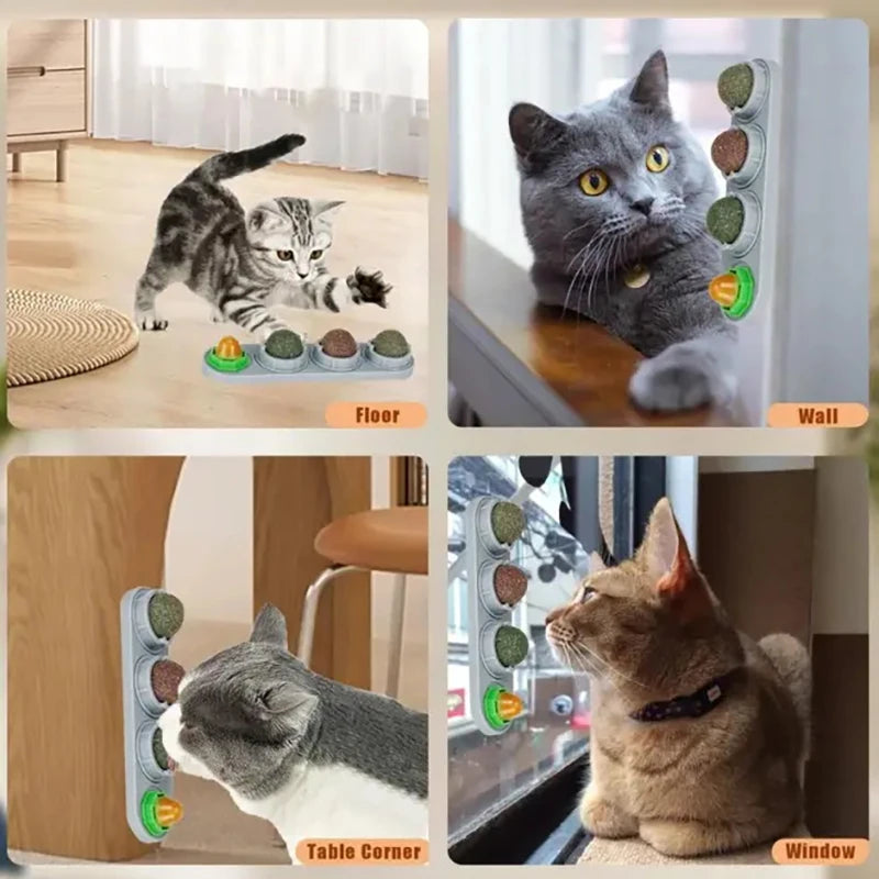 Edible Catnip Wall Balls for Dental Care and Play