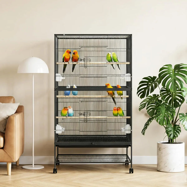 Cage à oiseaux noir en fil de fer avec plusieurs supports, contenant des perroquets colorés et du feuillage vert.