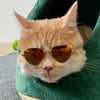 Non-Slip Pet Sunglasses for Cats & Small Dogs