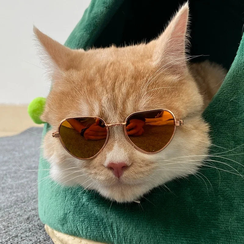Non-Slip Pet Sunglasses for Cats & Small Dogs