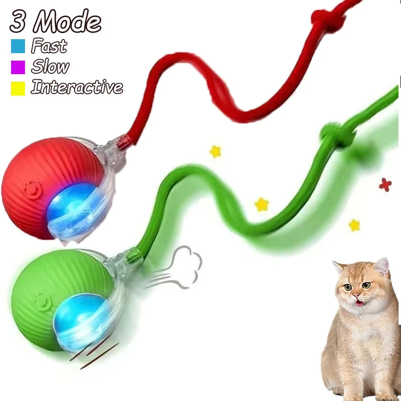 Interactive Rolling Cat Toy with Faux Tail