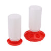Automatic Poultry Feeder and Drinker Water Dispenser