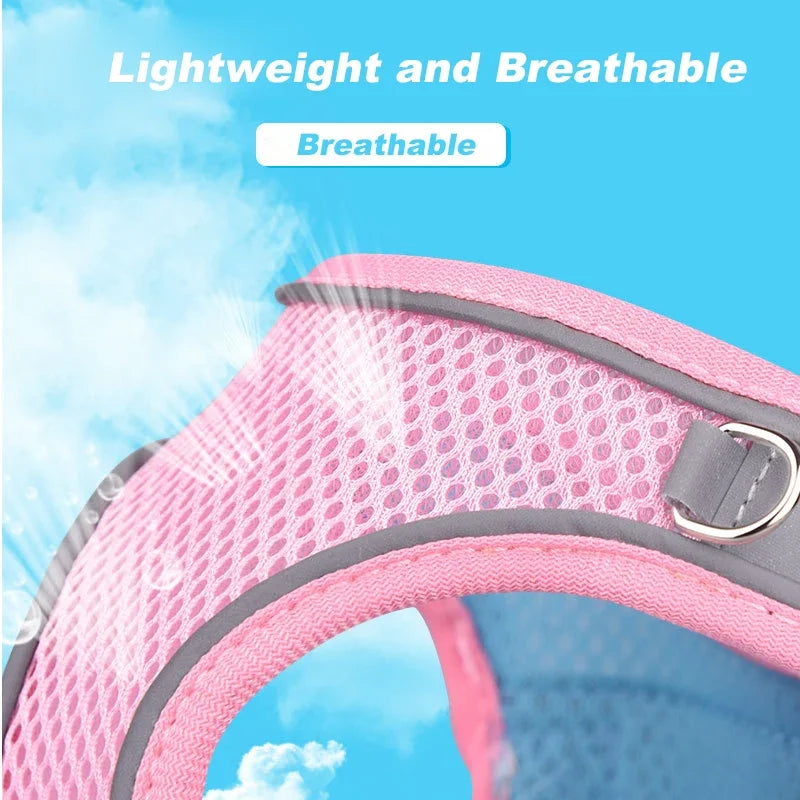 Close-up of a pink breathable dog harness material with a mesh pattern against a blue sky background.