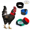 Adjustable Nylon Anti-Crowing Collar for Chickens, Ducks, and Geese