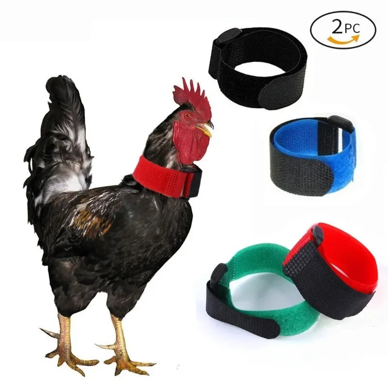 Adjustable Nylon Anti-Crowing Collar for Chickens, Ducks, and Geese