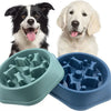 Cuenco Slow Feeder para Perros