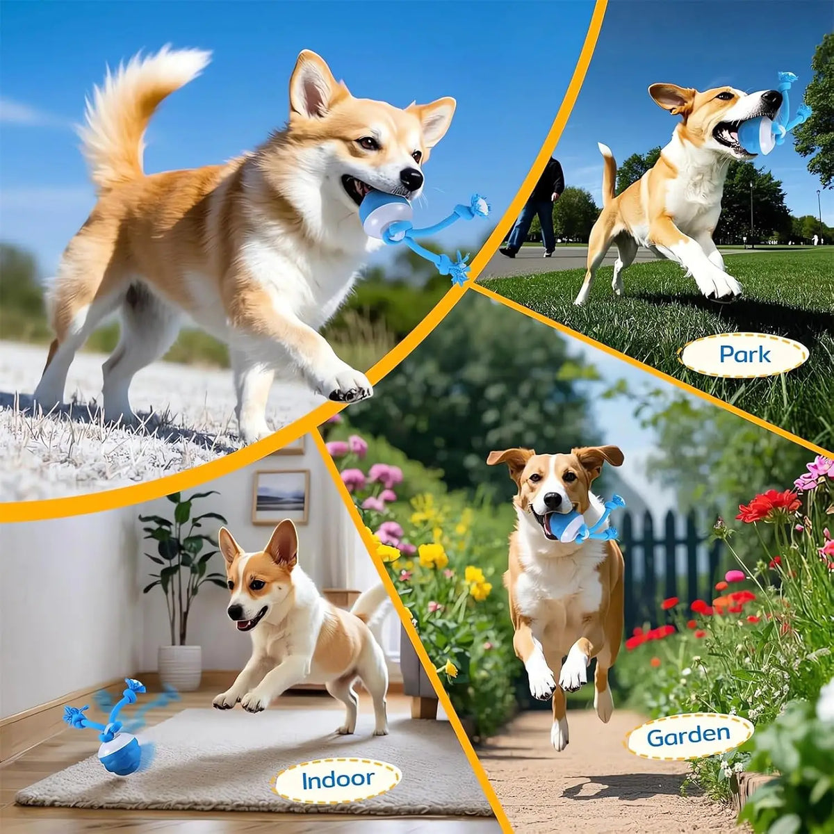 A dog playing with an interactive rolling ball and ropes in various outdoor and indoor settings.
