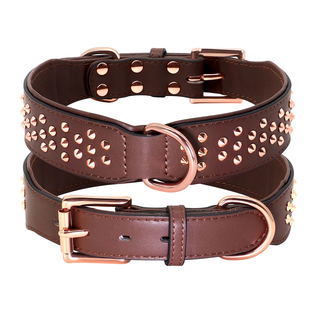 A brown leather dog collar with a brass buckle and metal spikes.
