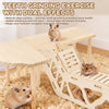 Ensemble d'exercice pour hamster en bois avec surface à ronger et zone d'activité, présentant de petits hamsters.