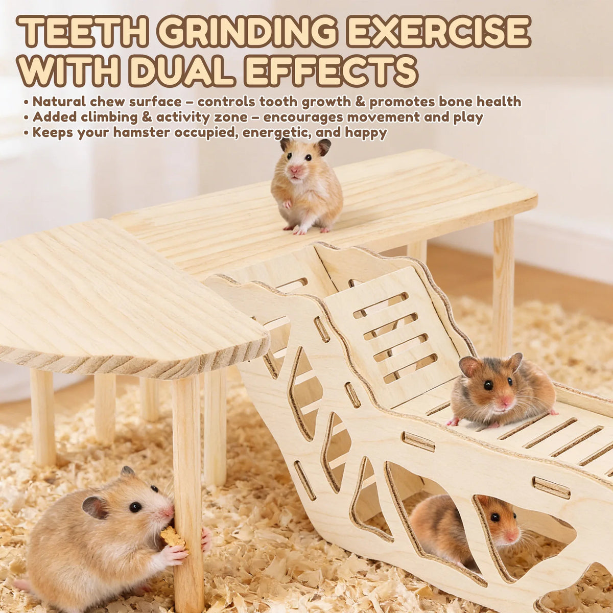 Ensemble d'exercice pour hamster en bois avec surface à ronger et zone d'activité, présentant de petits hamsters.