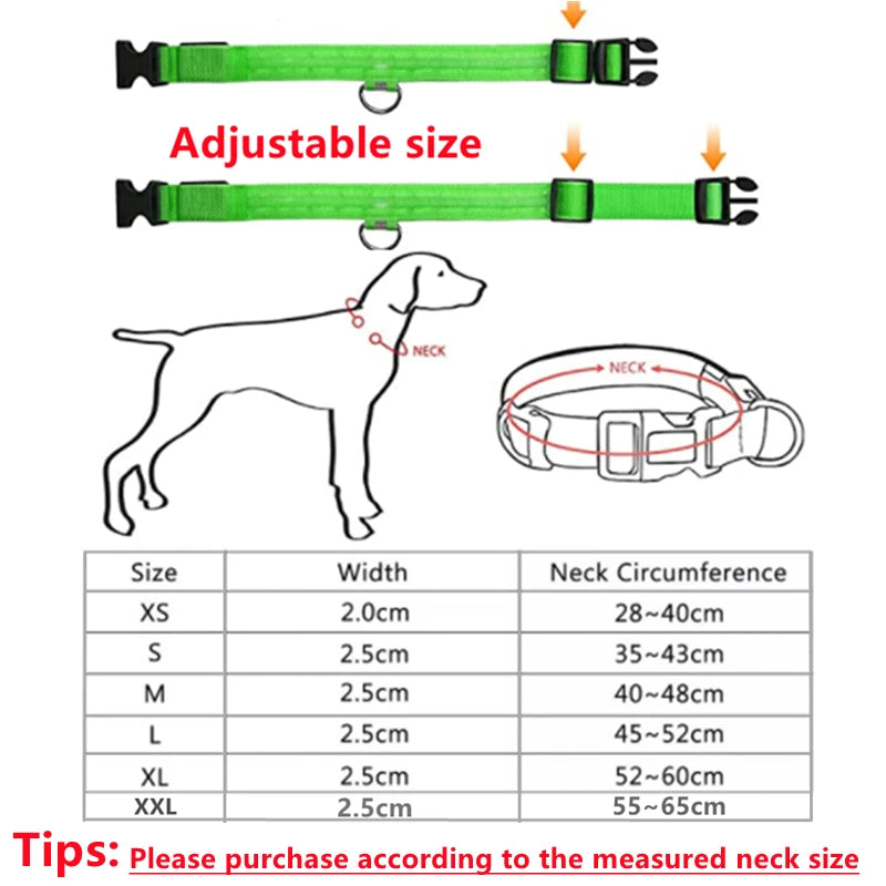 USB Rechargeable Luminous Collar for Dogs and Cats