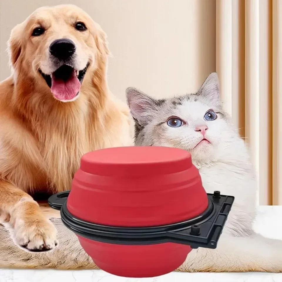 Rote faltbare Reiseschale für Haustiere mit einem Golden Retriever und einer weißen Katze