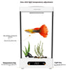 Aquarium de Bureau Compact 2L pour Poisson Betta