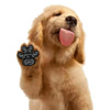 Dog Paw Grips with Traction Pads for Senior Dogs on Slippery Floors