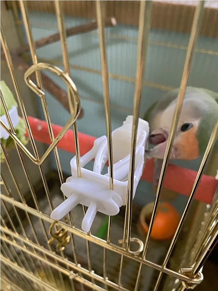 مشبك حافظة طعام للطيور الصغيرة والببغاوات