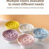 Ceramic Elevated Cat Bowl with Slow Feeder Design