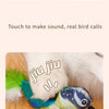 Rechargeable Flapping Bird Cat Toy with Catnip