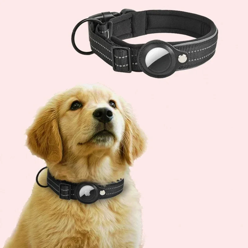A golden retriever wearing a black reflective dog collar with an AirTag visible on the front.