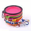 Stapel bunter Silikon-Hund-Reisebeigaben mit Metallverschlüssen in Pink, Grün, Gelb, Orange und Blau