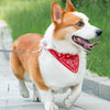 Collar Bandana Ajustable para Mascotas
