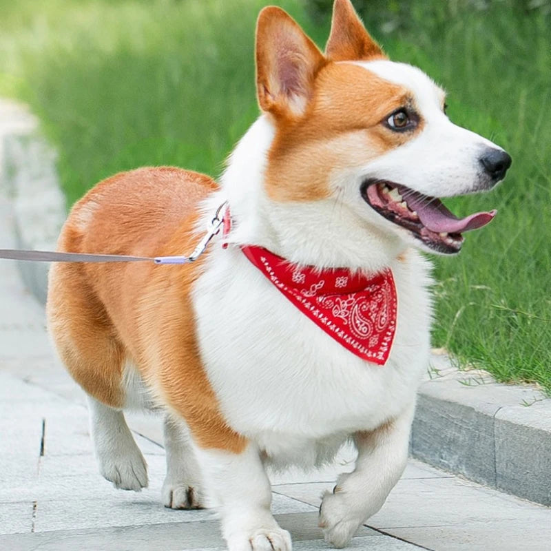 Collar Bandana Ajustable para Mascotas