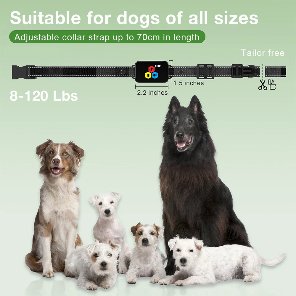 Dog Training Collar with Color Screen Remote & Anti-Bark Modes