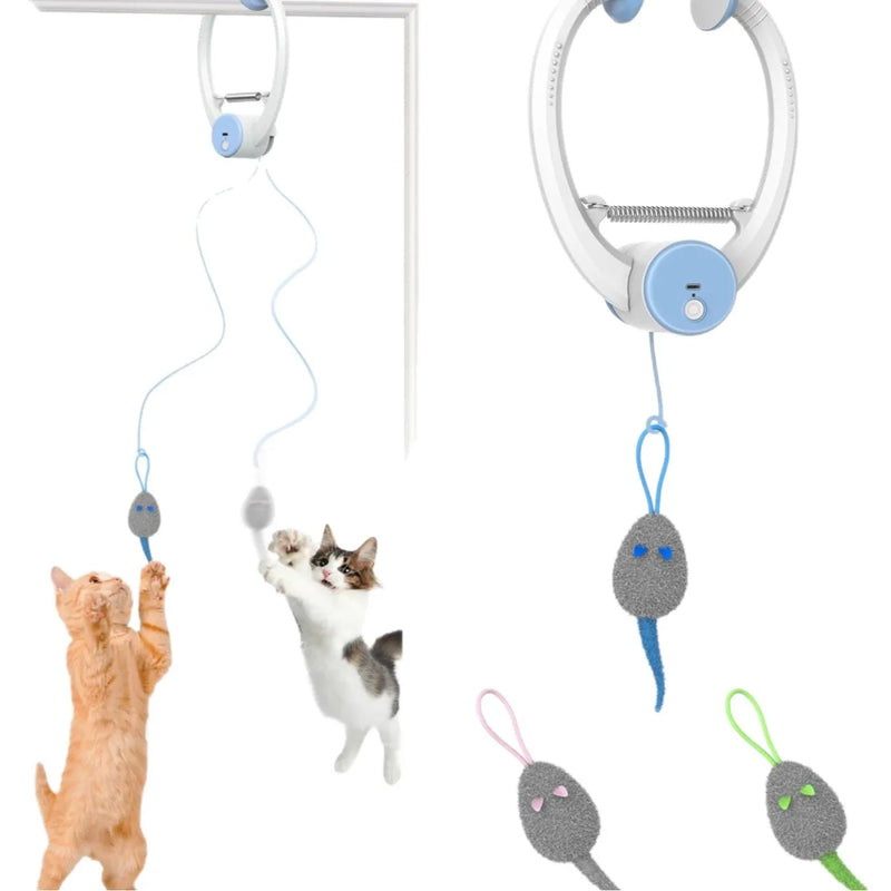 Jouet pour chat automatique à battements d'ailes