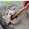 Natural Silvervine Cat Chew Sticks for Dental Care & Play