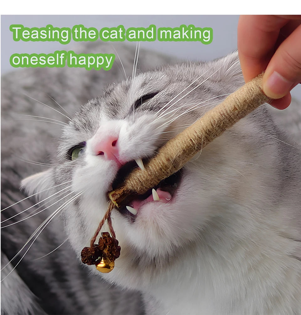 Natural Silvervine Cat Chew Sticks for Dental Care & Play