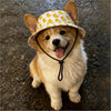 Duck Print Adjustable Pet Hat for Small to Medium Dogs and Cats