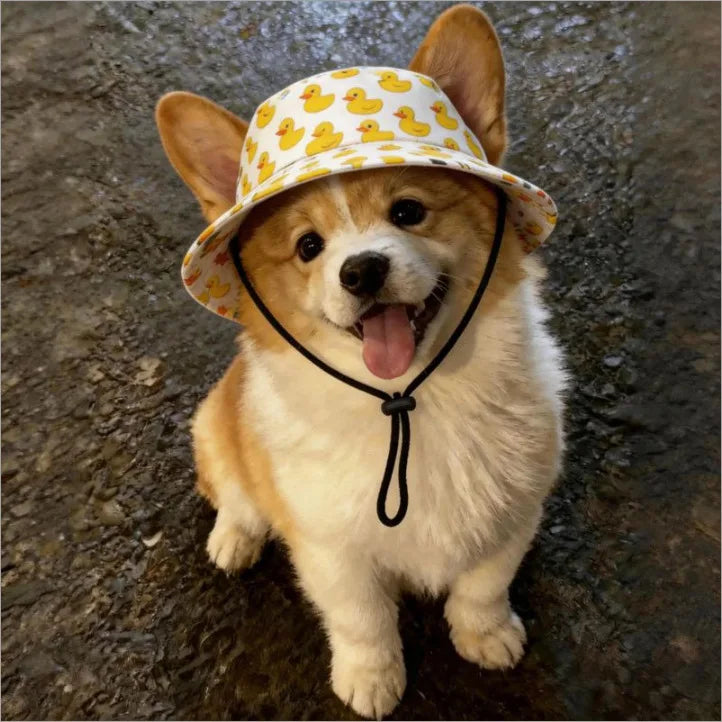 Duck Print Adjustable Pet Hat for Small to Medium Dogs and Cats