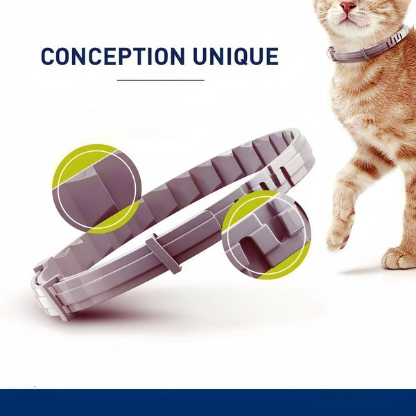 A close-up of a purple adjustable pet collar for dogs and cats lying on a white background.
