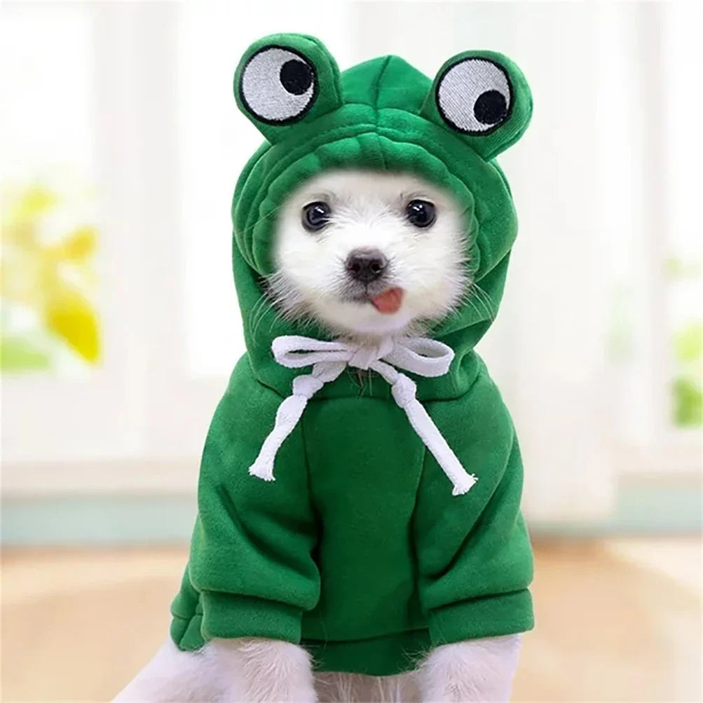 A cute frog-shaped green hoodie with large eyes worn by a small white dog.