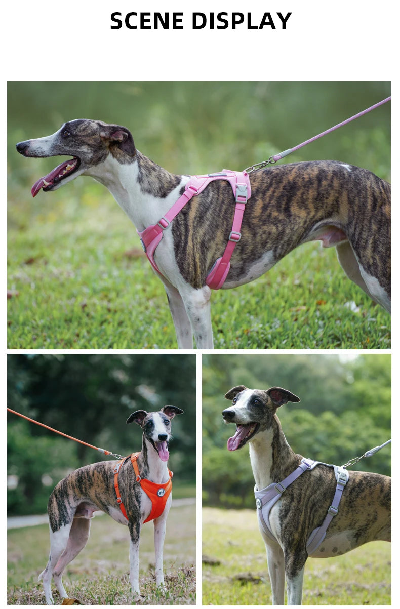 Reflective Nylon Dog Leash with Quick-Release Clip – 150cm