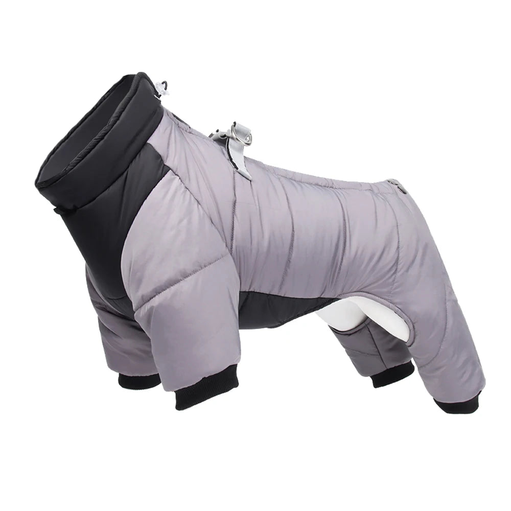 Veste pour chien gris clair rembourrée avec bordure noire et fermeture éclair visible au dos
