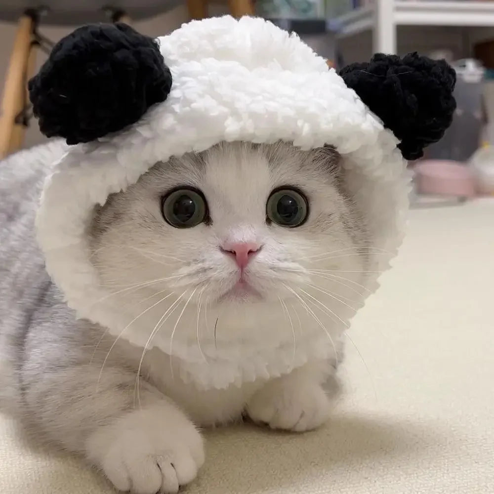 Adorable Knit Bear Hat for Cats and Dogs