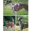 Reflective Nylon Dog Leash with Quick-Release Clip – 150cm