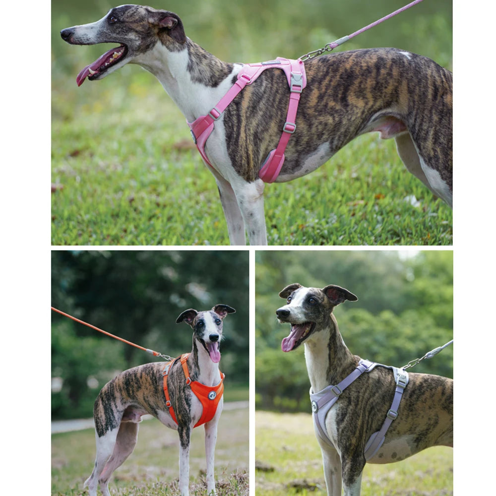 Reflective Nylon Dog Leash with Quick-Release Clip – 150cm