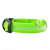 Neon green reflective LED dog collar with a black buckle and silver clasp.