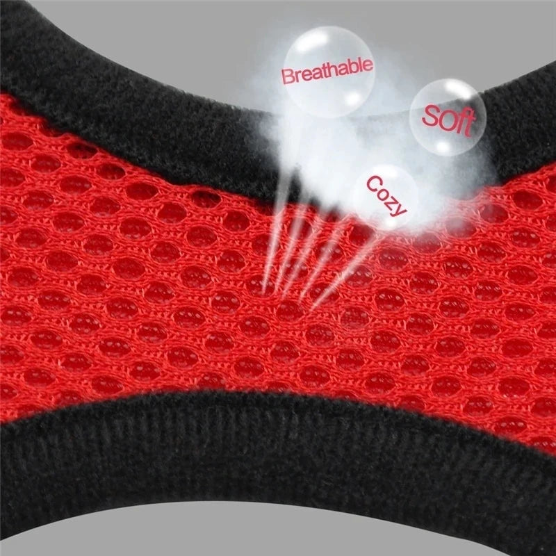 Adjustable Breathable Mesh Dog & Cat Harness with Leash