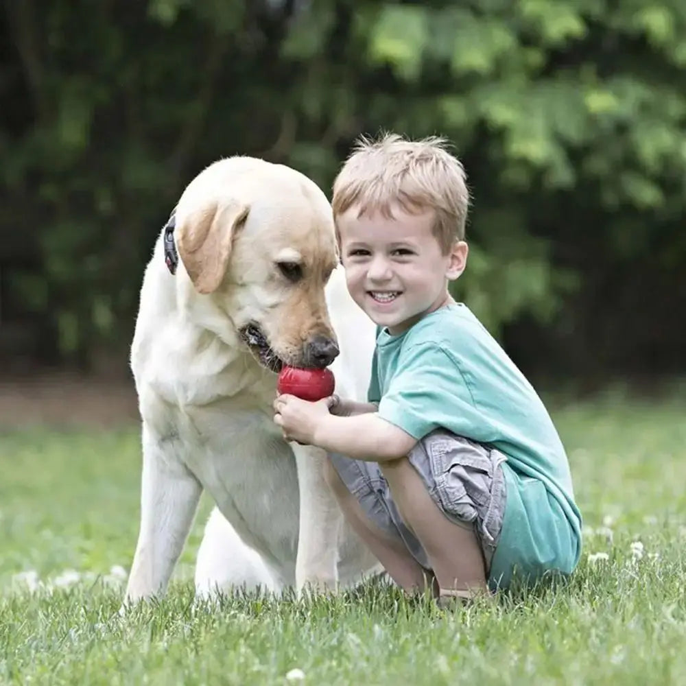 KONG Classic Durable Rubber Dog Toy with Erratic Bounce