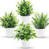 A collection of five artificial bonsai potted plants in white ceramic pots.