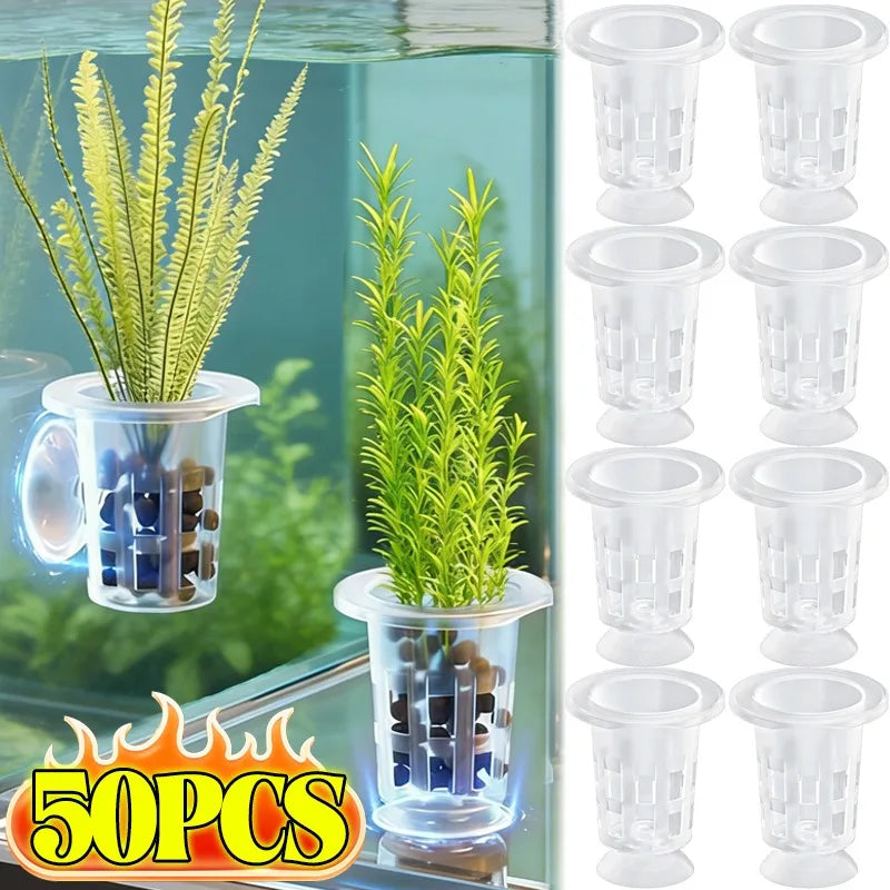 A set of clear plastic aquarium planting cups with lids and stems for aquatic plants.