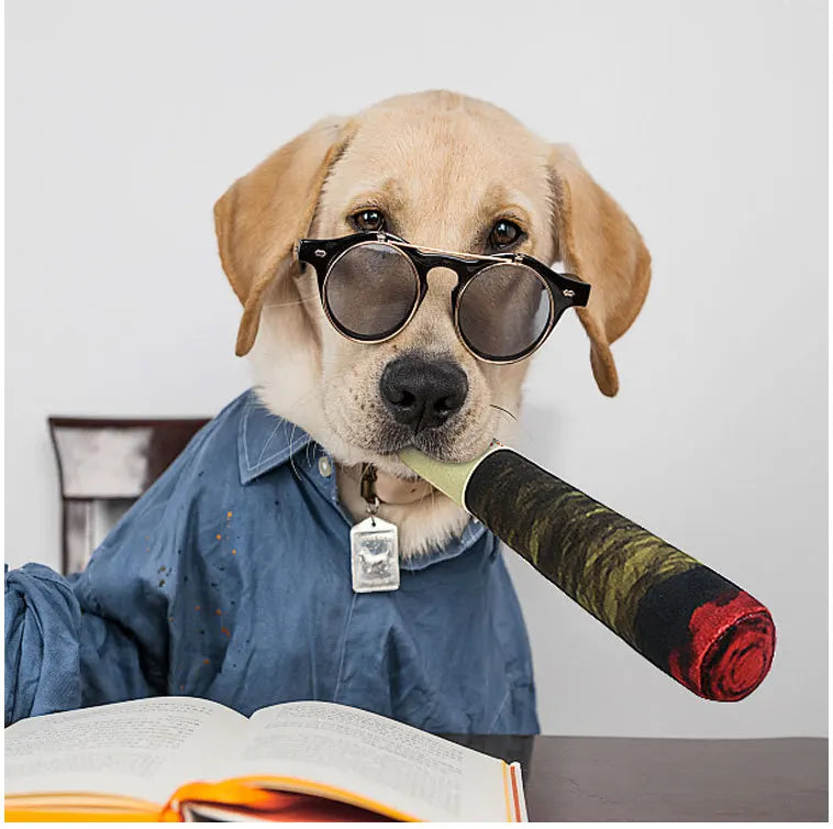 Jouet en Peluche pour Chien en Forme de Cigare