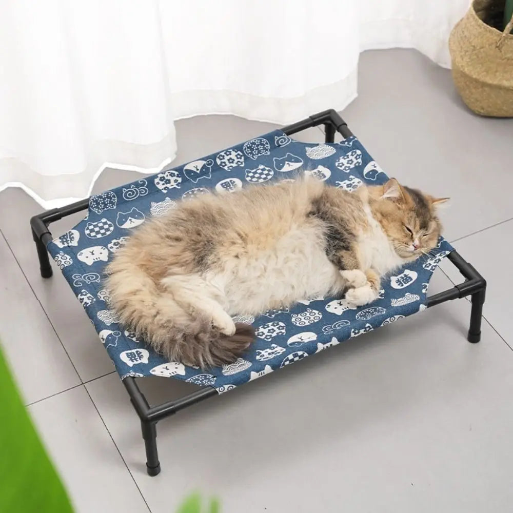 Elevated Pet Bed with Detachable Frame and Breathable Mesh