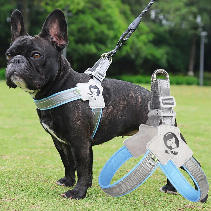A black dog wearing a reflective mesh pet harness for walking on green grass.