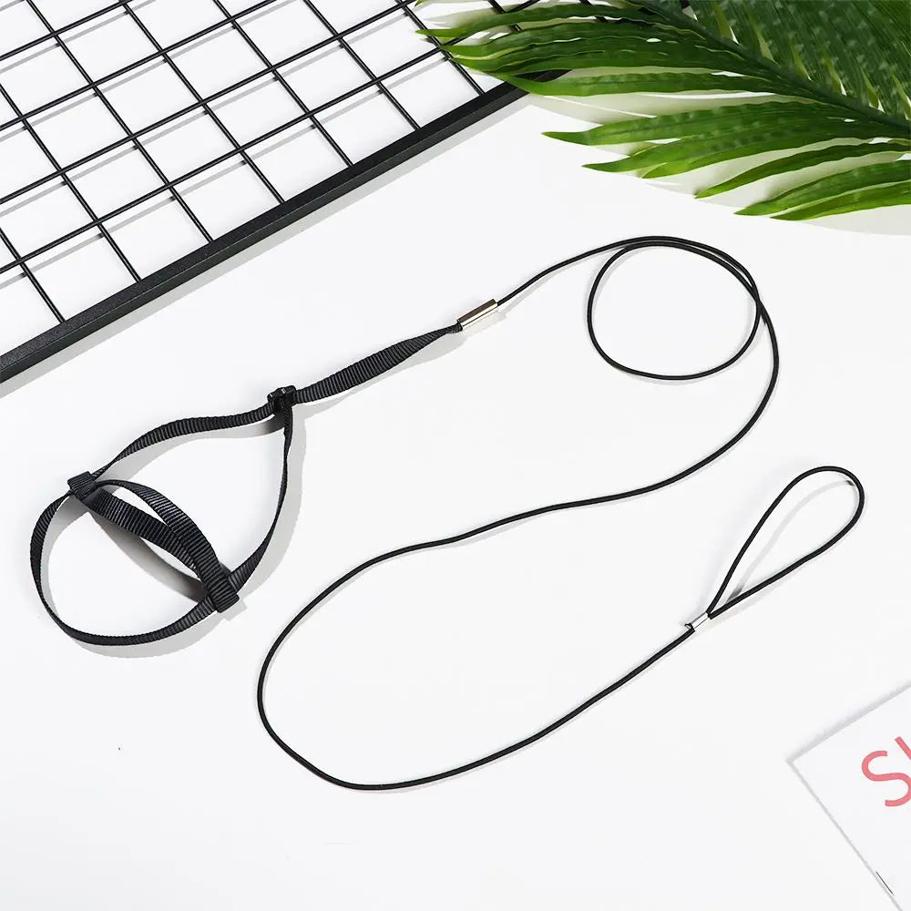 A black bird harness and flight leash laid out on a white surface next to a wire grid and green leaves.